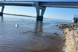 На реке Зее в Благовещенске перевернулась лодка с тремя людьми