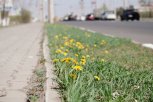 После похолодания в Приамурье вновь до +21 градуса