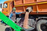 Амурские аграрии приближаются к финалу посевной кампании ранних зерновых культур