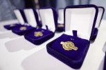 Юным благовещенцам предлагают получить золотой значок ТехноГТО за знание электроники дома