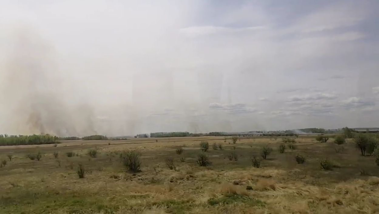Фото: Скриншот видео АП