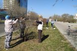 Экологическую акцию «Город берегу» в Благовещенске продлили до 30 мая