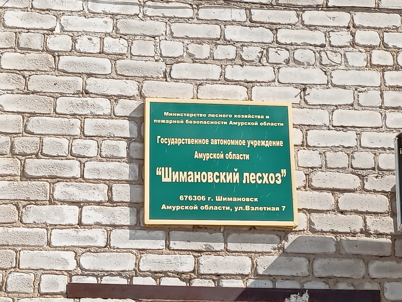 Фото: ГАУ АО "Шимановский лесхоз"