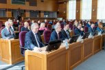 Амурское Заксобрание утвердило расходы на семейный МФЦ в Свободном и ремонт томографа в АОДКБ