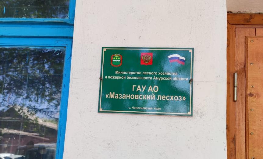 Фото: ГАУ АО «Мазановский лесхоз»