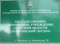 Фото: ГАУ АО "Завитинский лесхоз"