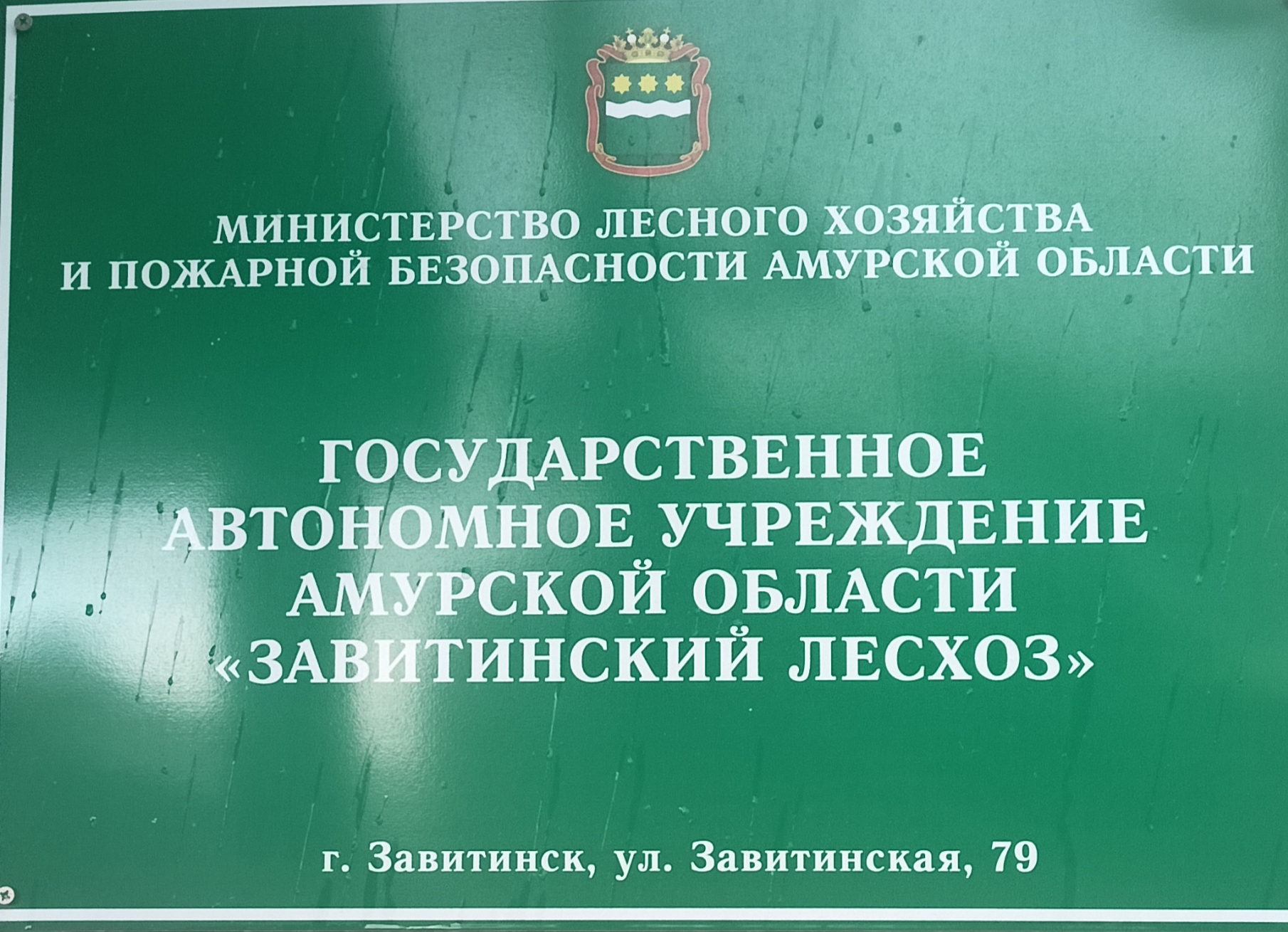 Фото: ГАУ АО "Завитинский лесхоз"