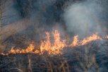 Амурчане заплатят 2,85 миллиона рублей за нарушения правил пожарной безопасности