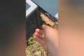 Фото: Администрация города Благовещенска