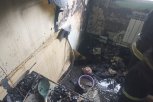 На выходных пожарные потушили пал в Тамбовском округе и возгорание в квартире в Серышеве