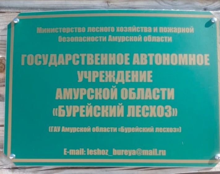 Фото: ГАУ АО "Бурейский лесхоз"