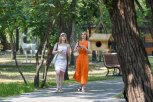 Амурская область в зоне летнего зноя: во вторник температура воздуха превысит +33 градуса