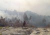 В Приамурье зарегистрировали четыре лесных и 18 ландшафтных пожаров