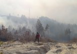 В Приамурье зарегистрировали четыре лесных и 18 ландшафтных пожаров