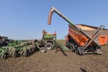 Аграрии Приамурья выполнили план по посеву сои на 60 процентов