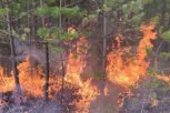 С двумя лесными пожарами в Амурской области сражаются 157 человек