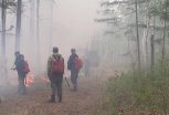 Огнеборцы потушили пламя возле села в Магдагачинском округе