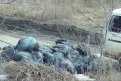 Фото: Скриншот видео t.me/mpramur