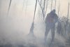 На территории Приамурья действует шесть лесных пожаров и столько же палов