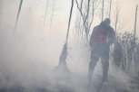 На территории Приамурья действует шесть лесных пожаров и столько же палов