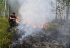 На территории Амурской области действует два лесных пожара