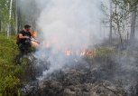 На территории Амурской области действует два лесных пожара