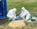 Фото: Управление ветеринарии по Амурской области
