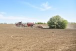 Соя стремится к миллиону: посевная в Приамурье выходит на финишную прямую