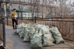 344 тонны мусора: в Благовещенске подвели итоги весеннего этапа акции «Город берегу-2025»