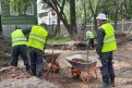 Фото: Администрация города Благовещенска