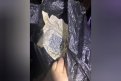 Фото: ПУ ФСБ России по Амурской области