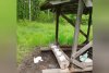 Охотоведы подарят обитателям амурских заказников 18 тонн соли