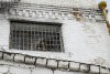 Благовещенец проведет 5 лет в колонии и выплатит почти миллион рублей за ДТП с погибшей женщиной