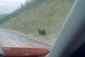 Скрин видео