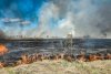 На 14 территориях Приамурья отменяется особый противопожарный режим