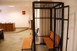 Три незаконно спиленных дуба привели жителя Серышевского округа на скамью подсудимых