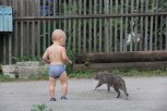 Многодетную мать из Белогорска обязали отработать 10 месяцев за неуплату алиментов