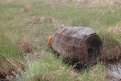 Фото: t.me/amuroopt
