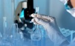 Результаты исследования популяционного иммунитета амурчан станут известны в июле