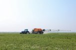 Соя вместо ячменя: часть районов Амурской области перевыполнили план по посеву главной культуры