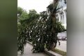 Фото: Администрация города Благовещенска