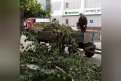 Фото: Администрация города Благовещенска
