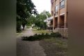 Фото: Администрация города Благовещенска