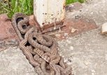 «Змеиная свадьба» на амурском мосту удивила местных жителей