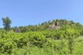 Фото: Мария Мурашко