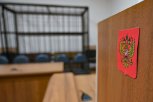 Экс-сотрудницу учреждения и предпринимателя в Приамурье осудили за мошенничество на соцвыплатах