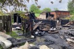 Житель села в Свободненском районе погиб в пожаре возле собственного дома