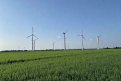 Фото: Нейросеть Stable Diffusion