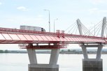 В Благовещенске осудили китайского контрабандиста медвежьих желчных пузырей