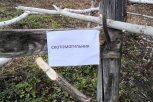 До конца лета в Амурской области ликвидируют 18 старых скотомогильников